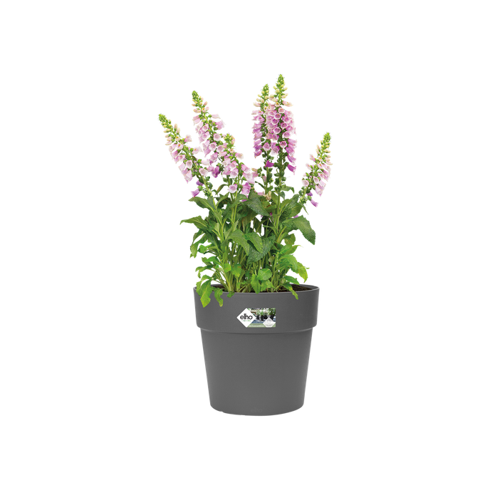 vibia straight rund 40cm anthrazit